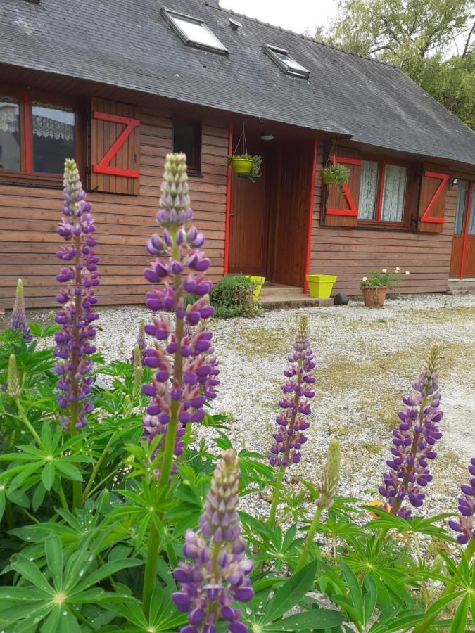 Bed and Breakfast Chez Christine Noyal-Pontivy Экстерьер фото